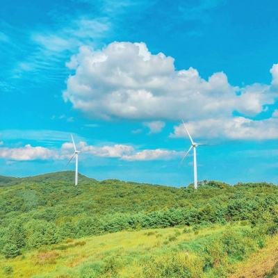 海岛争霸无限钻石金币版下载